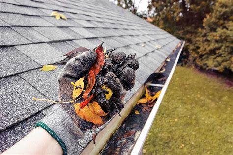 gutter cleaners near me yelp.